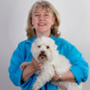 Meet your Posher, Karen lane